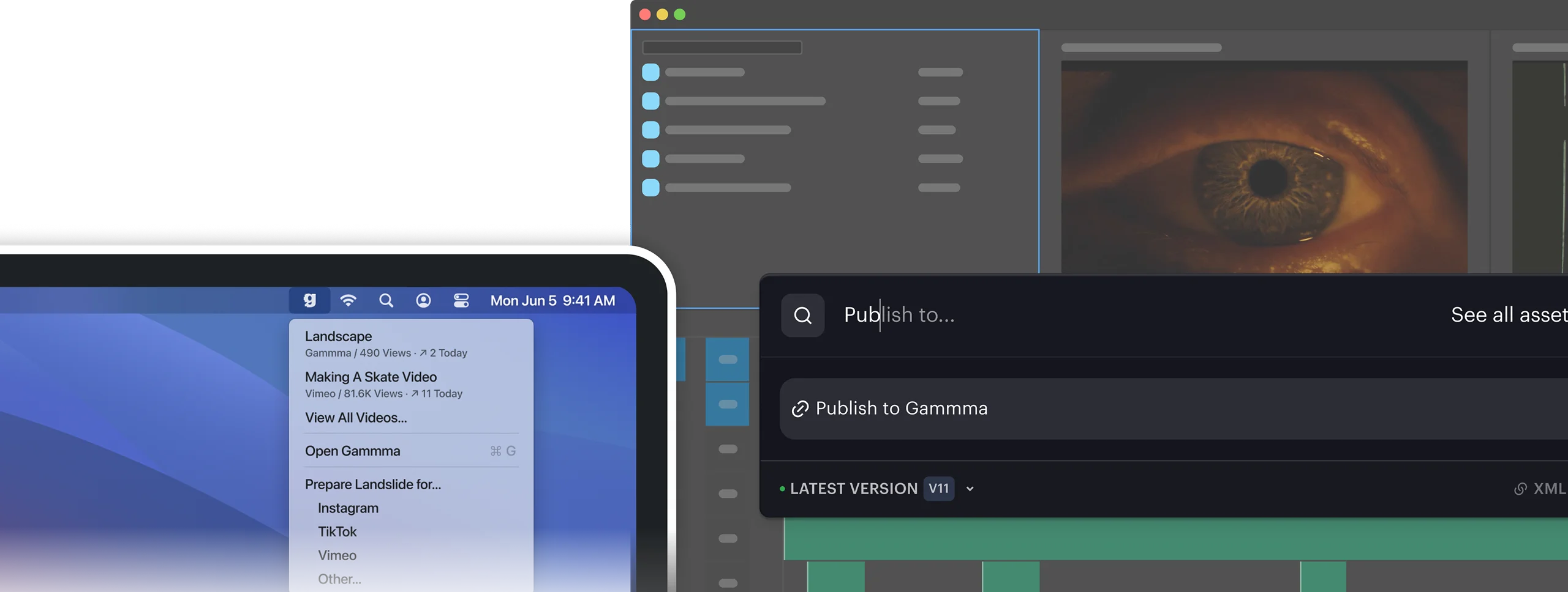 Gammma in the macOS menu bar and inside an editing app